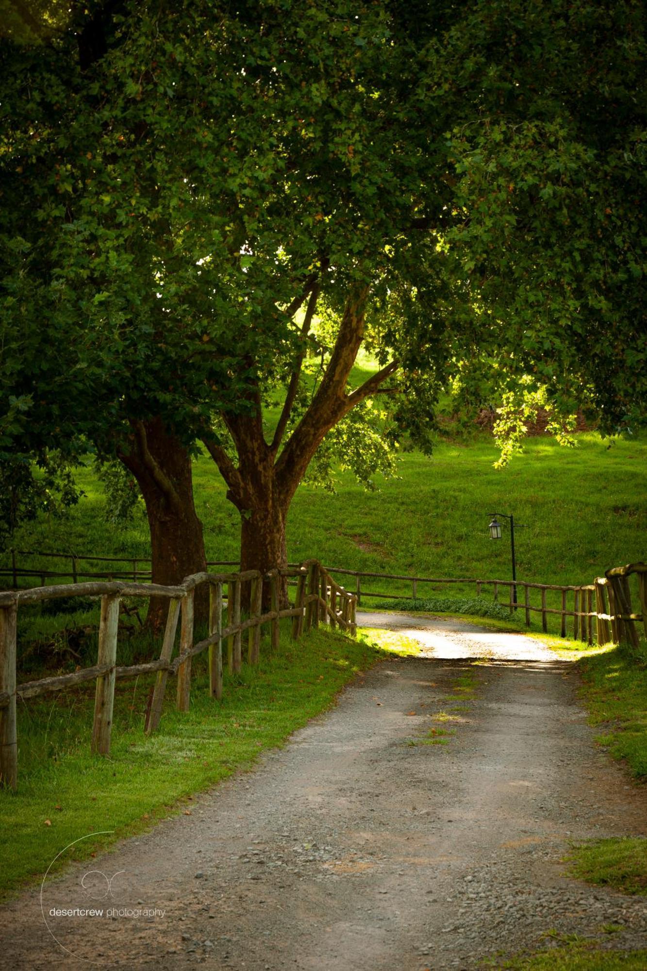 Newstead Farm - Country Cottages Curryʼs Post Eksteriør bilde